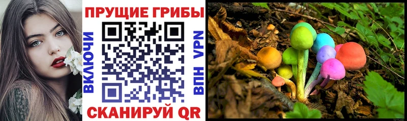 Галлюциногенные грибы GOLDEN TEACHER  Полевской 